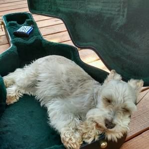 Meet your Posher, Paul